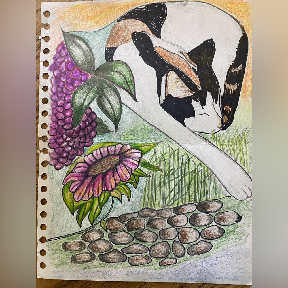 This is a mixed media drawing. It’s my cat I had for 8 years.